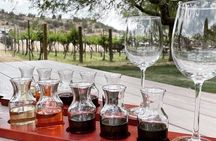 Sedona Scenic Tour and Wine Tasting-The perfect blend!