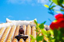 Okinawa Explorer: Shrines, Markets & Vibrant Streets