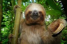 La Fortuna Guided Day Nature Experience 2hrs