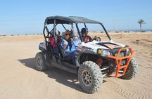 Buggy Adventure Desert Safari Tour In Sharm El Sheikh
