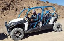 Family Buggy Adventure Desert Safari Tour In Sharm El Sheikh