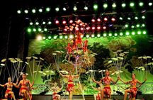 Beijing Night Activity Guided Tour Including Tickets
