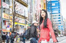 Private Walking Tour in Tokyo Cultural Heritage Route