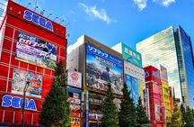 Tokyo Family Fun: Meiji Shrine and Sanrio Puroland Private Tour