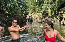 Immersive El Yunque Rainforest Adventure with Transportation