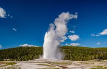 Yellowstone in a Day - Grand Loop Yellowstone Tour