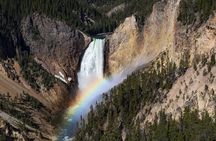 Yellowstone in a Day - Grand Loop Yellowstone Tour
