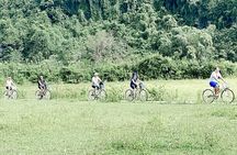2 Day Private Tour in Tam Coc–Cuc Phuong-Van Long Nature Reserve
