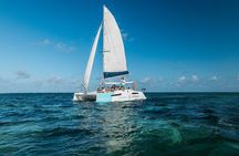 Full Day Catamaran Cruise - Northeast Mangrove explore (sharing)