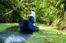 Southern Forest Tour – Explore Hau Giang Nature