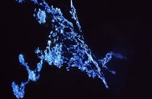 Day Hike Mount Ijen Mid Night Blue Fire Guided Tour