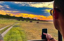 Game Drive in Zambezi National Park, Victoria Falls 
