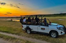 Game Drive in Zambezi National Park, Victoria Falls 