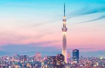 Tokyo Day tour with English/Hindi speaking Driver