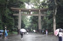 Tokyo Day tour with English/Hindi speaking Driver