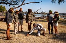 Game Walk in the Zambezi National Park, Victoria Falls