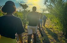 Game Walk in the Zambezi National Park, Victoria Falls