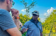 Game Walk in the Zambezi National Park, Victoria Falls