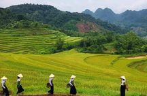 15-Day Vietnam Itinerary All in One | Travel Package 2025-2026