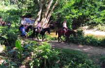 Fiji Adventure: Biausevu Waterfall & Dunes hiking Combo Tour!