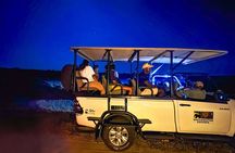 Night Game Drive in Zambezi National Park and Victoria Falls