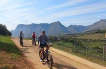 Stellenbosch Shared E-bike & Wine Tour 