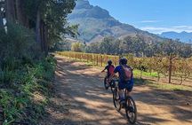 Stellenbosch Shared E-bike & Wine Tour 