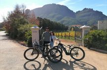 Stellenbosch Shared E-bike & Wine Tour 