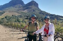 Stellenbosch Shared E-bike & Wine Tour 