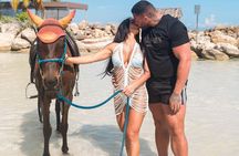 Horseback Ride and Swim Tour In Montego Bay