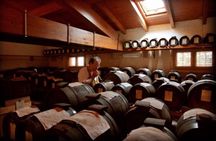 Modena: Visit and Gourmet Tasting of DOP and BIO Balsamic Vinegar