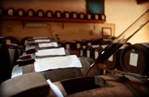 Modena: Visit and Gourmet Tasting of DOP and BIO Balsamic Vinegar