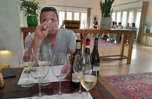 Robben Island, Kirstenbosch Garden, Groot Constantia Private Tour