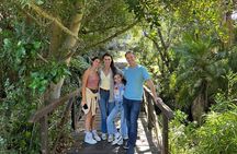 Robben Island, Kirstenbosch Garden, Groot Constantia Private Tour