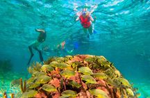 Reef Snorkeling in National Park from Cancun with Beachside Lunch