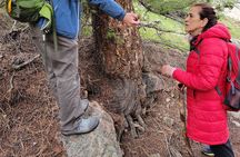 Rocky Mountain National Park Half Day Hike
