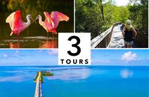 Florida Audio Tour Bundle 3 Self-Guided Sightseeing Tours