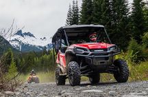 Whistler Side-by-side Off Road "Family Buggy" Adventure