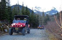Whistler Side-by-side Off Road "Family Buggy" Adventure