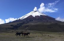 3-Day Cotopaxi & Quilotoa Trekking Tour from Quito