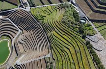 Etna panoramic private tour and Wine taste and food combination