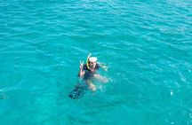SeaFari FastCat - Sun, Fun, Swimming, Snorkeling & Boat Party