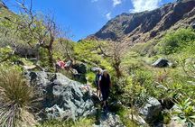 Crete: Richtis Waterfall Guided Hiking Adventure 