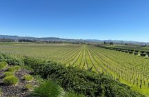 6 Hour Custom Napa or Sonoma Private Wine Tour