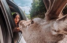 Ottawa Parc Omega Private Tour with Hotel Transfer