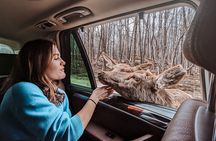 Ottawa Parc Omega Private Tour with Hotel Transfer
