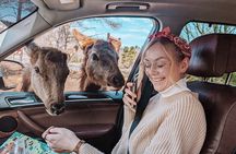 Ottawa Parc Omega Private Tour with Hotel Transfer