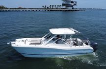Private Boat: Island Cruise and Dolphins