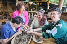 Ancestral Coffee Experience in Boquete