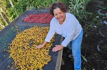 Ancestral Coffee Experience in Boquete
